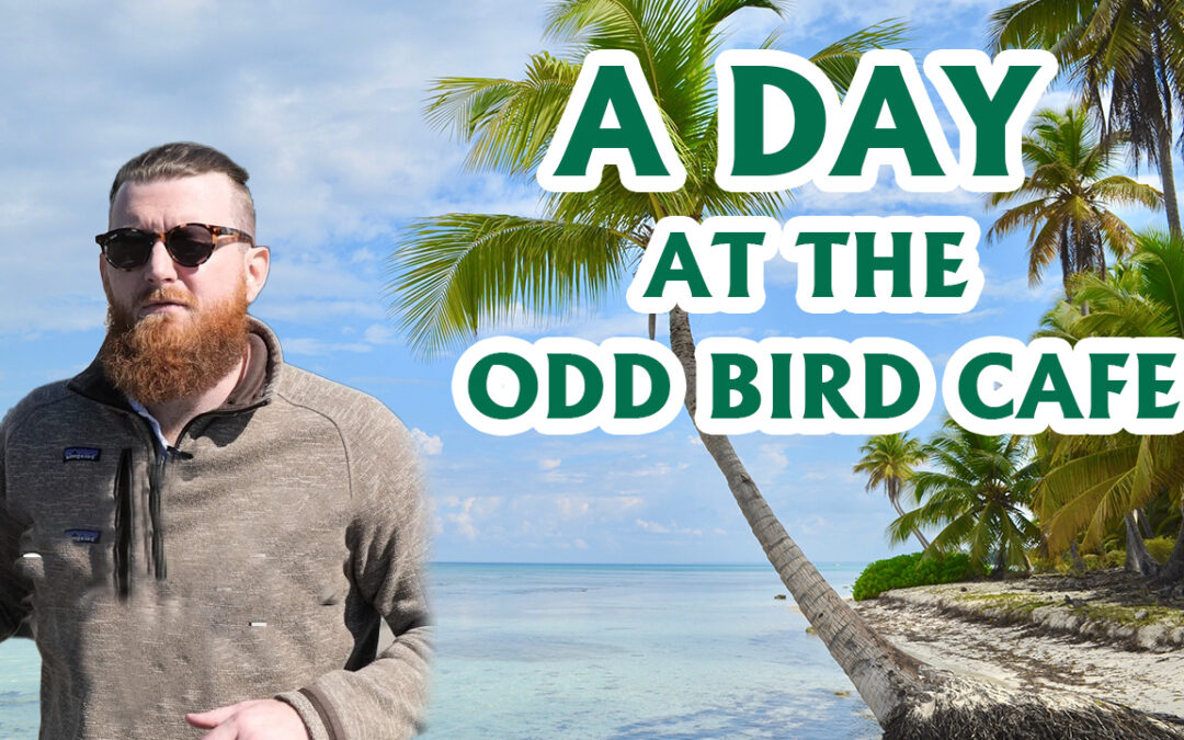 A Day at the Odd Birds Cafe: An Avian-Themed Paradise for Coffee Lovers